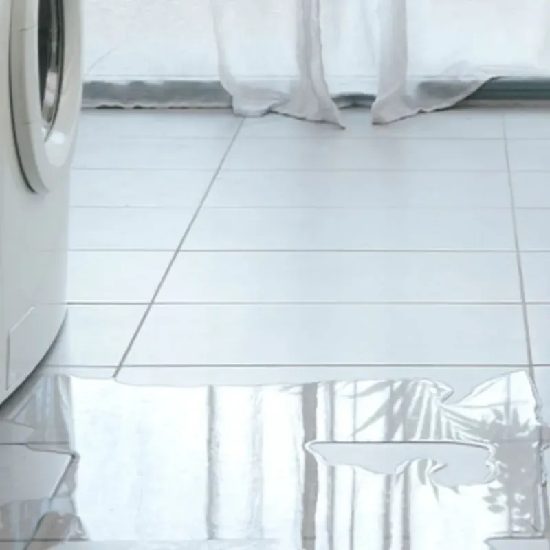 Appliance Leak Cleanup in Coloma, MI