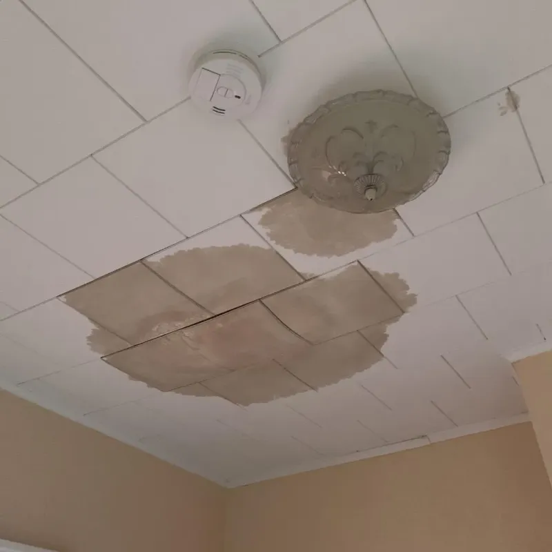 Ceiling Water Damage Repair in Coloma, MI