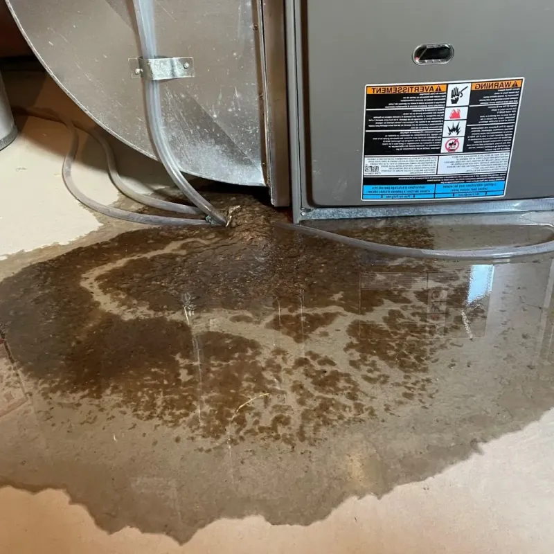 Pipe Burst and Leak Restoration in Coloma, MI