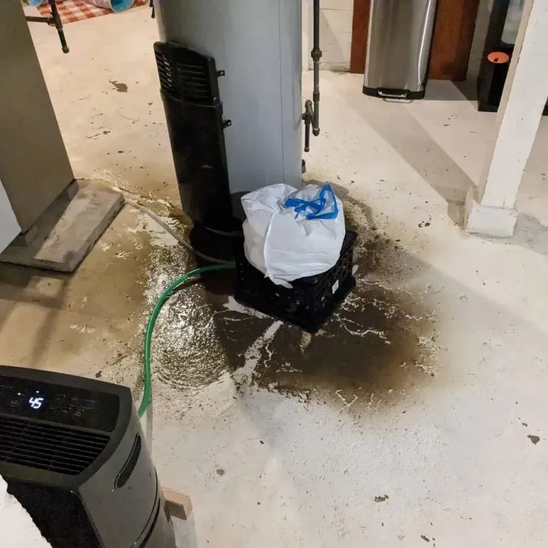 Sewage Backup Cleanup Service in Coloma, MI